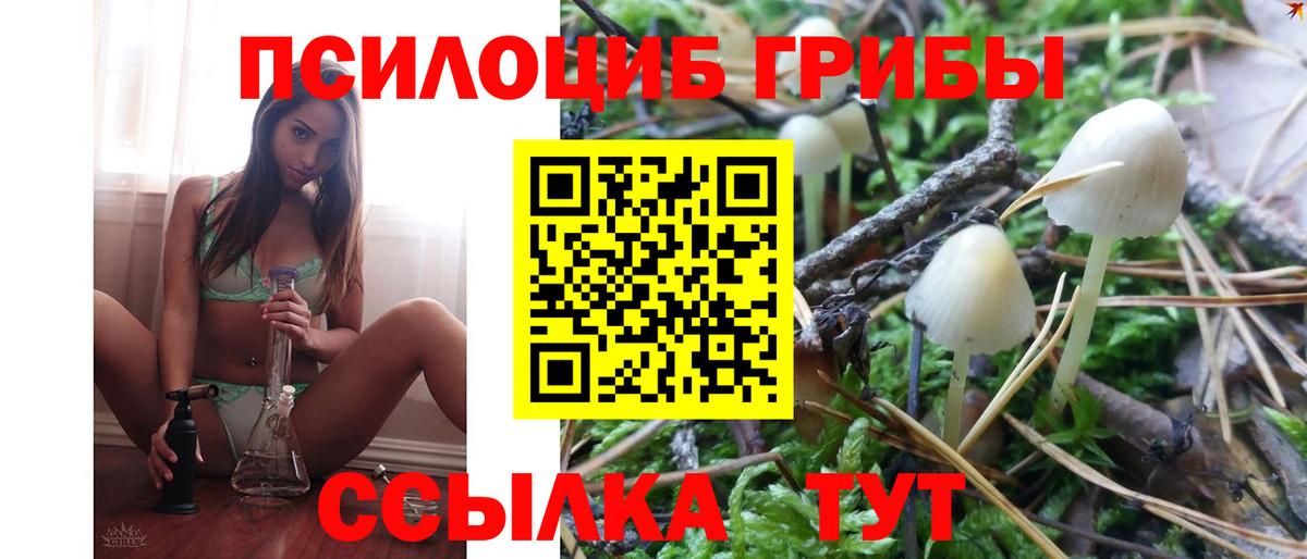 Ивантеевка  Галлюциногенные грибы мицелий  Псилоцибиновые грибы мухоморы  Вход с VPN 